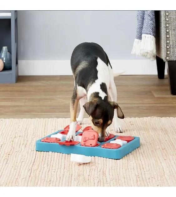 25% OFF: Outward Hound Nina Ottosson Dog Brick Interactive Dog Toy