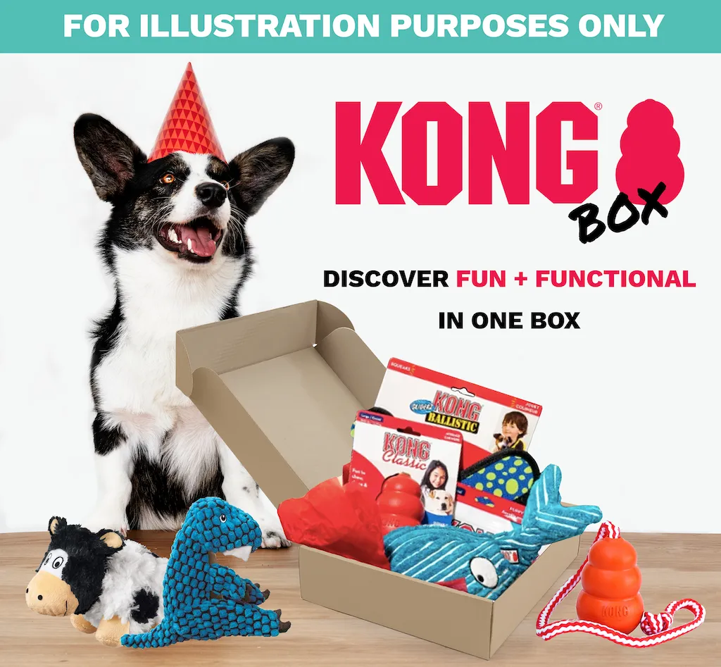 30% OFF: Kong Summer Fun Box