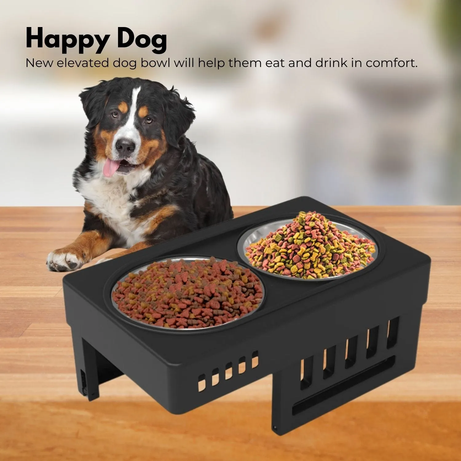 Adjustable Elevated Pet Feeder, 2 Bowls, Black - FLOOFI