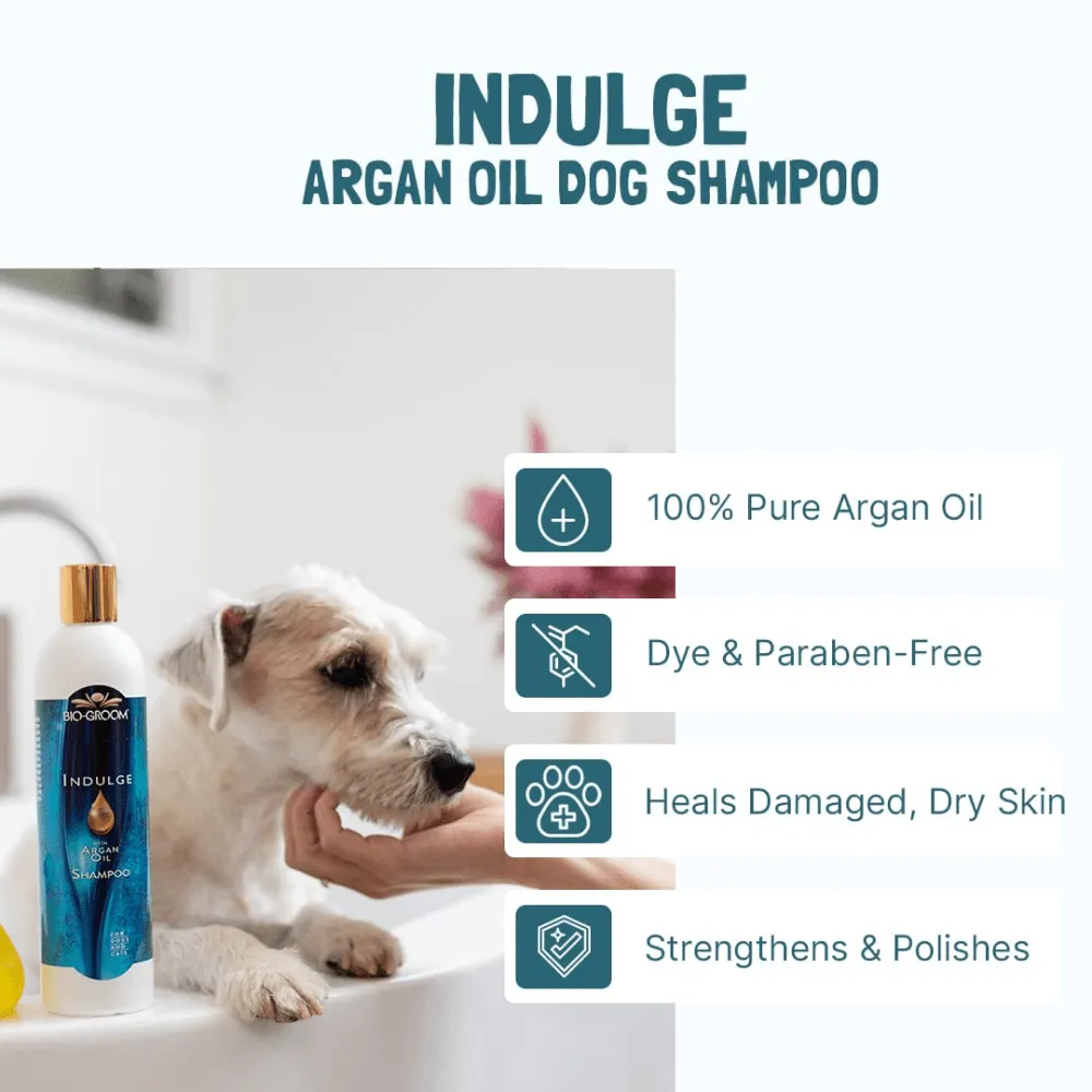 Bio Groom Indulge Sulfate Free Pure Argan Oil Shampoo for Dogs and Cats (Limited Shelf Life)