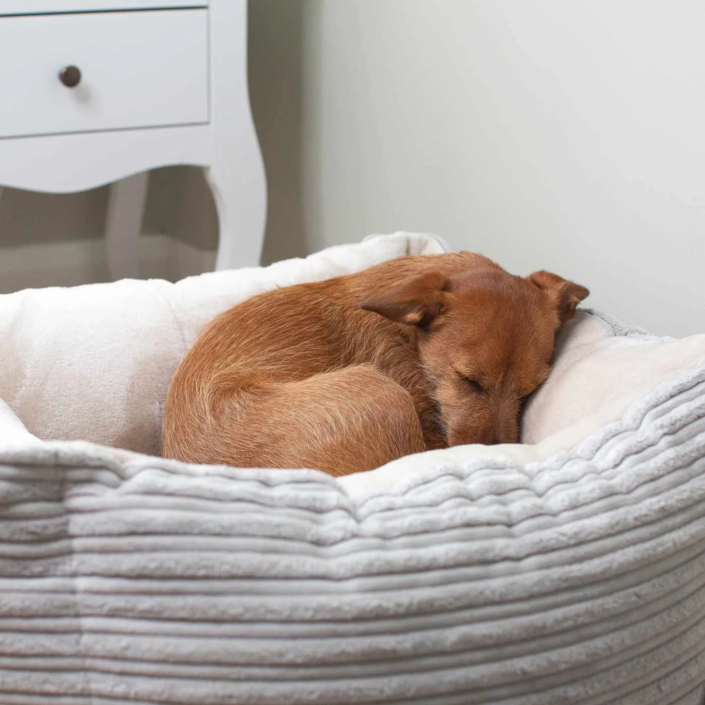 Box Bed in Essentials Plush by Lords & Labradors