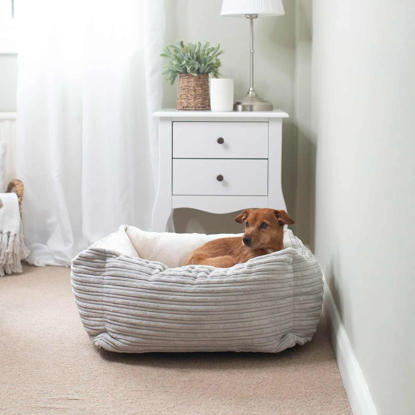 Box Bed in Essentials Plush by Lords & Labradors