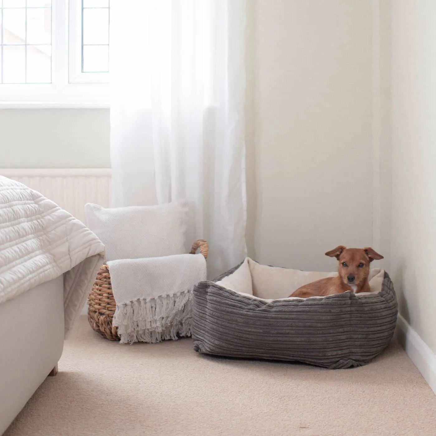 Box Bed in Essentials Plush by Lords & Labradors