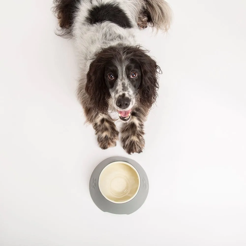 Classic 2 Piece Long Eared Dog Food & Water Bowl