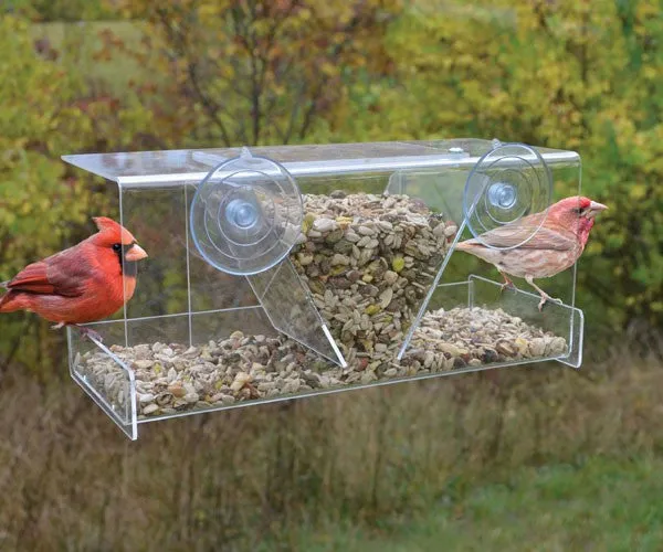 Clear View Deluxe Hopper Window Feeder