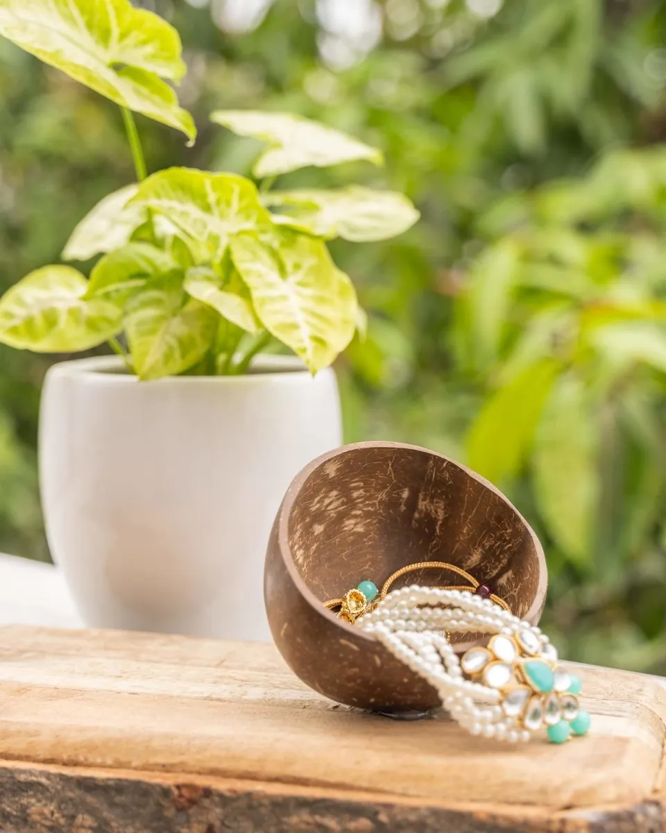 Coconut Shell Bowl  | Snack Bowl | Pack of 2