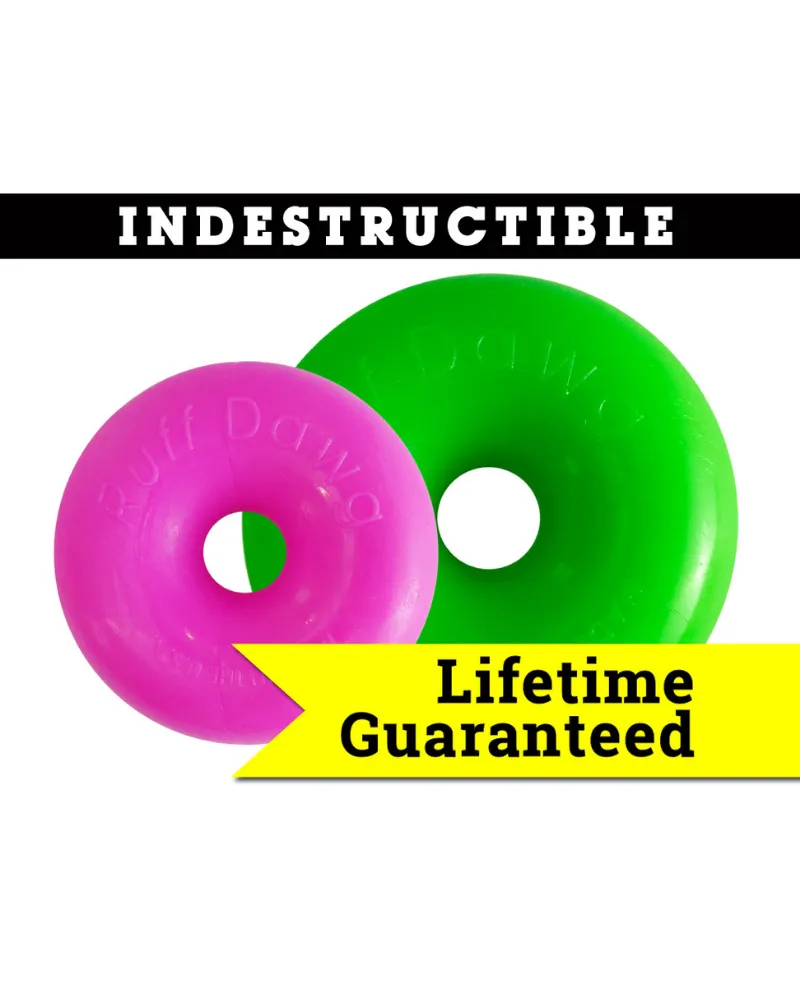 Dawg-Nut Rubber Dog Toy (Guaranteed Tough | Made in the USA)