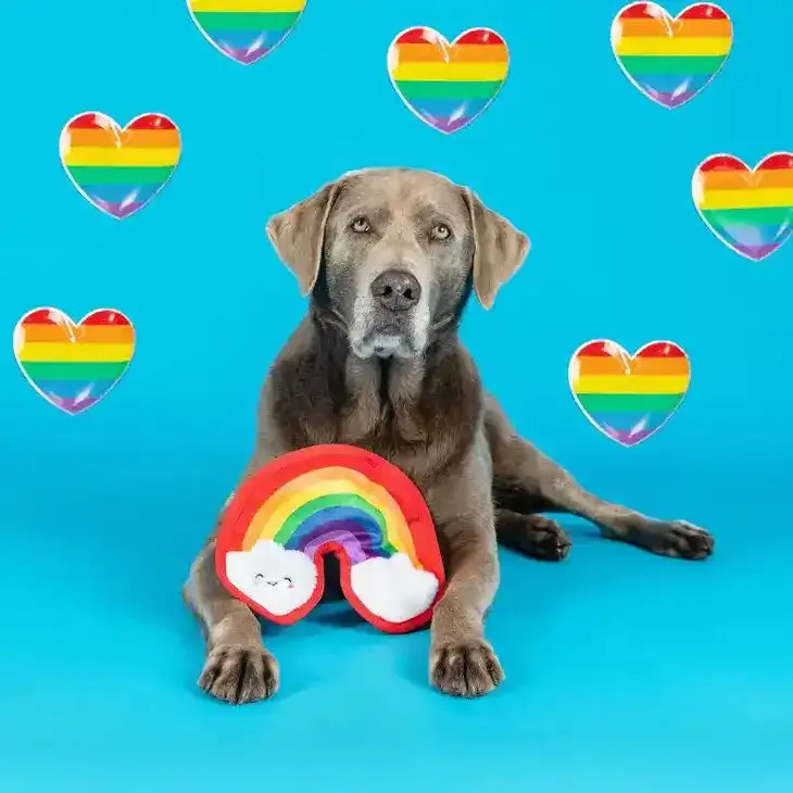 Durable Rainbow Dog Toy