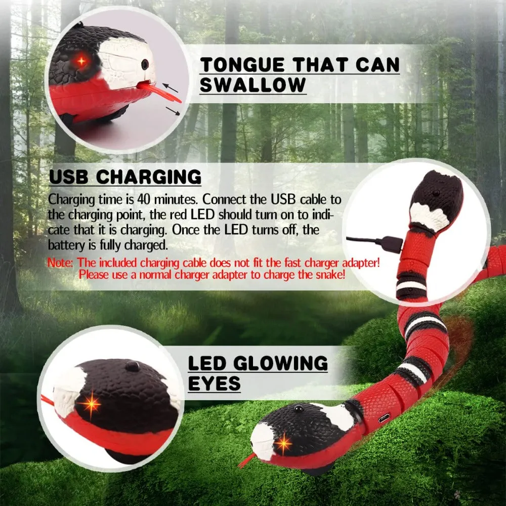 Electronic Snake Cat Toy