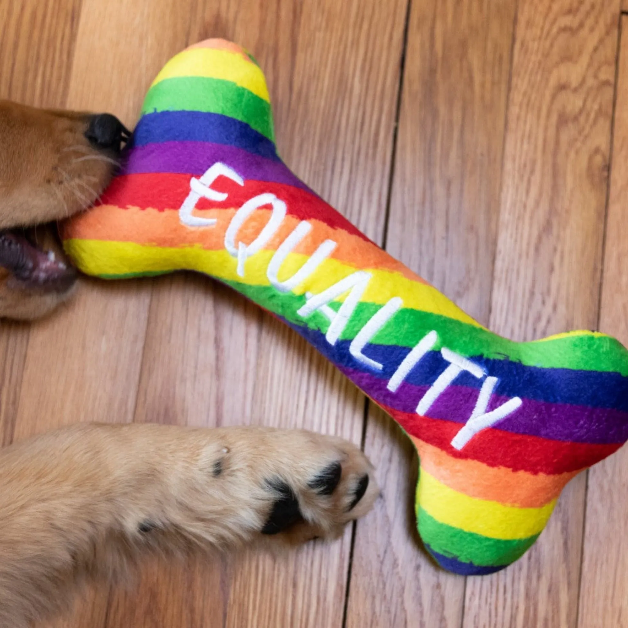 Equality Bone Tough Dog Toy