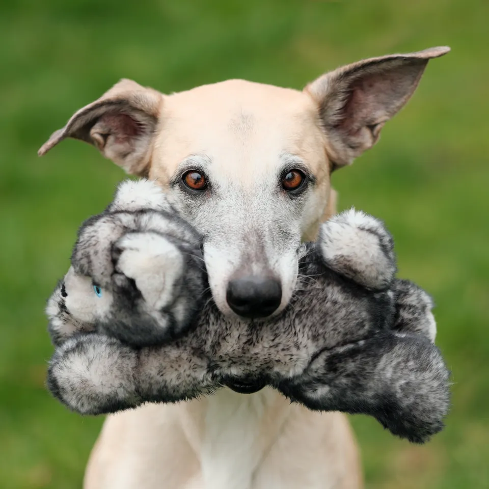 Fluff & Tuff Blanca Wolf Plush Dog Toy