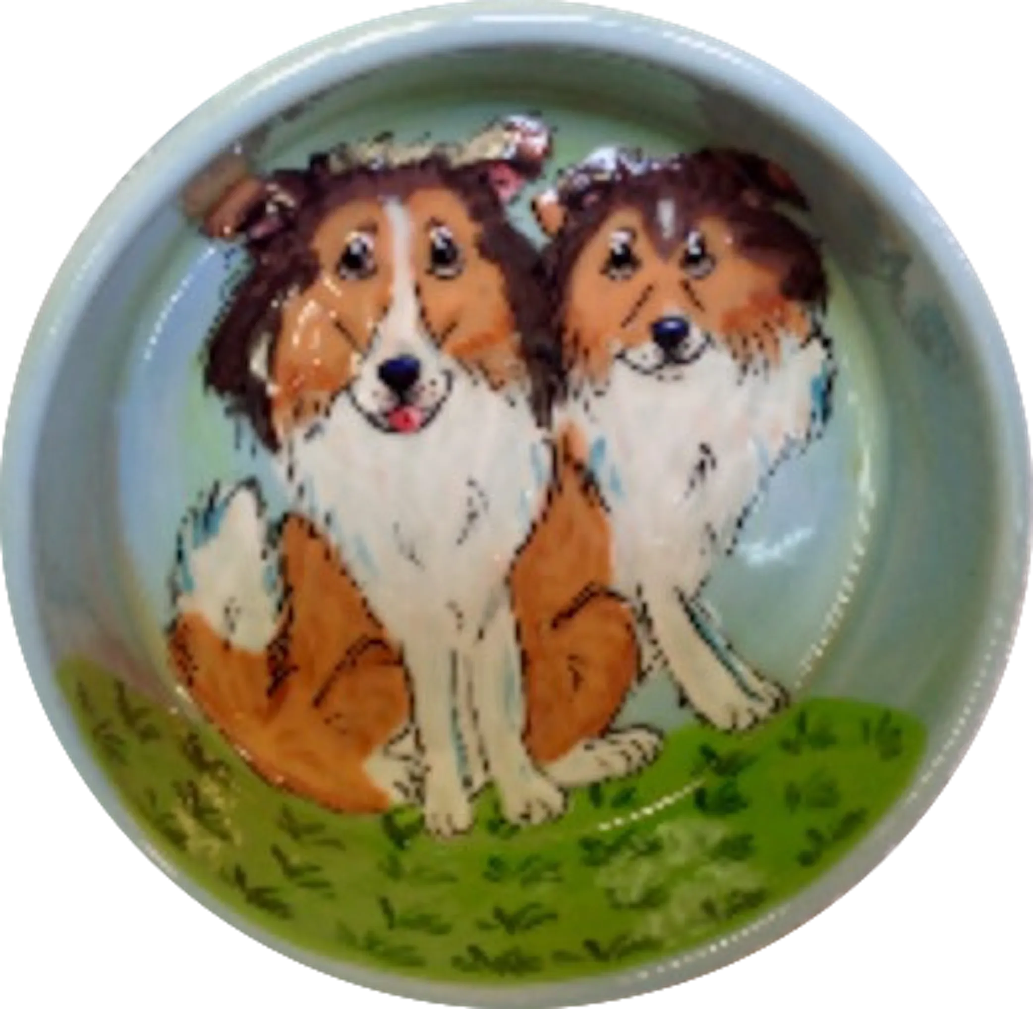 Herding Collie Dog Bowl