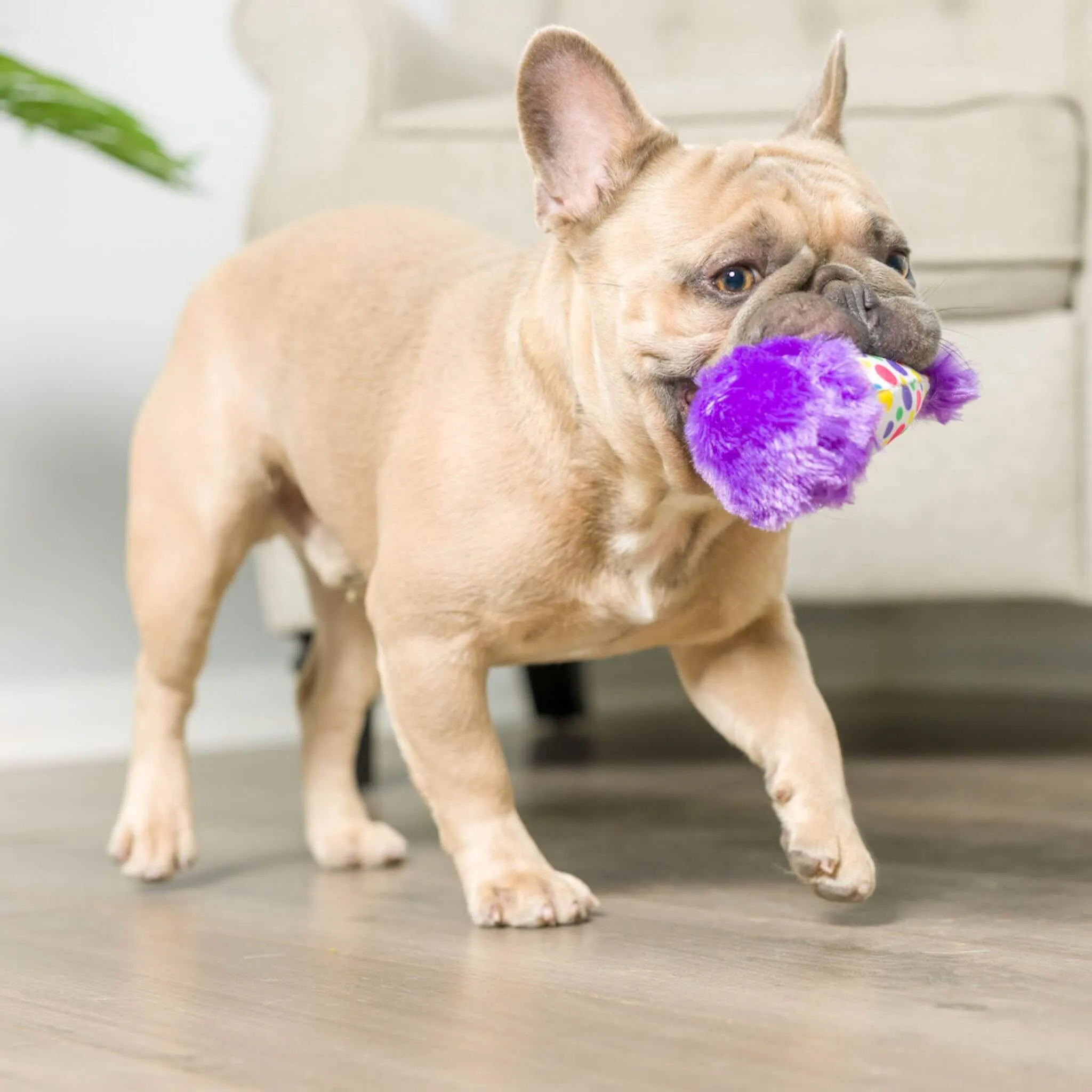 It's My Barkday Dog Toy Collection