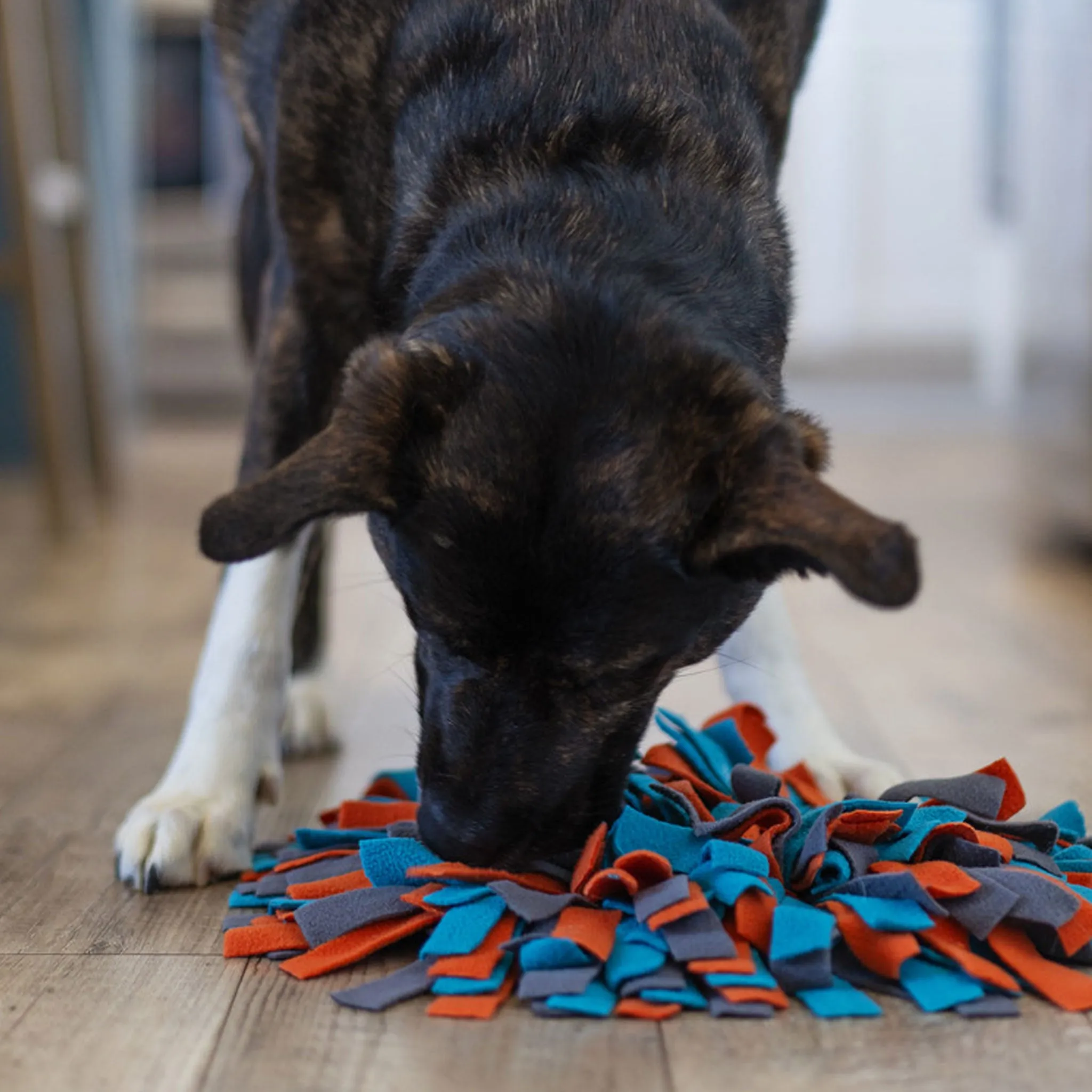 Messy Mutts Round Forage Mat