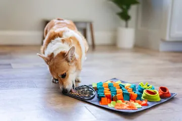 Messy Mutts Square Forage Mat plus Lick Mat