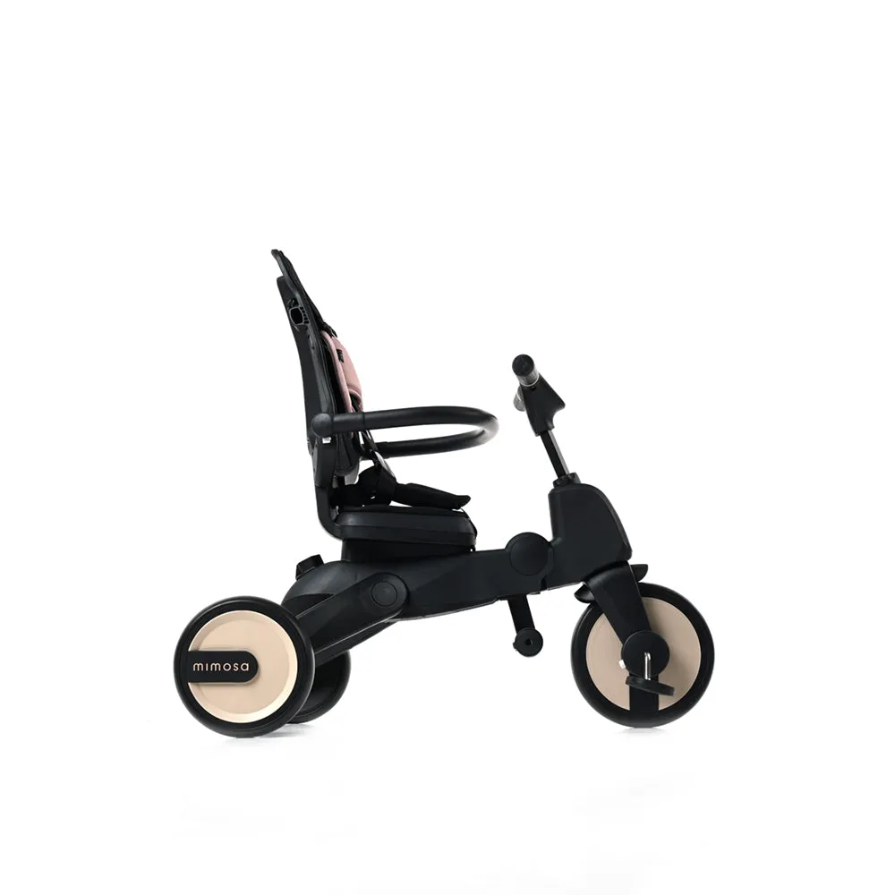 Mimosa 7-In-1 Trike