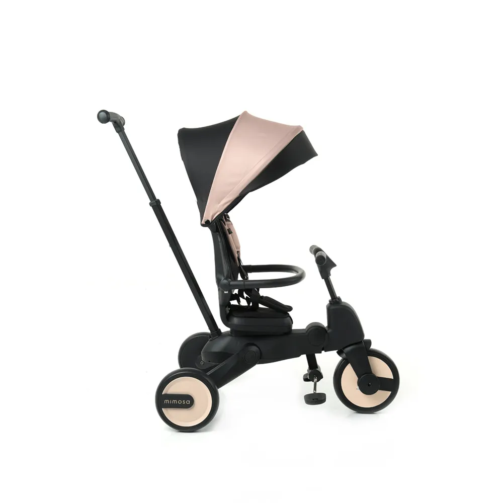 Mimosa 7-In-1 Trike