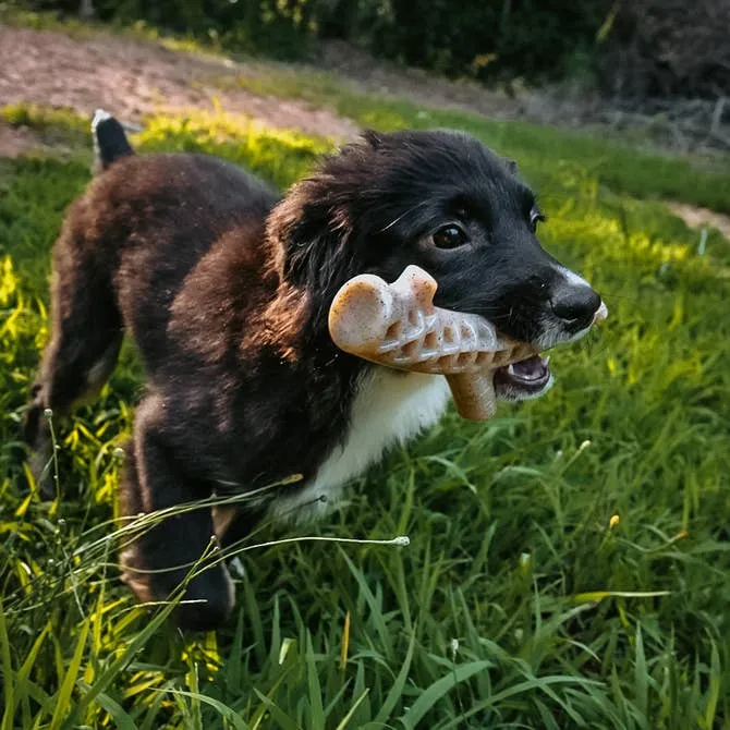 Nylon-Woodfilled Chew Toys - USA Made