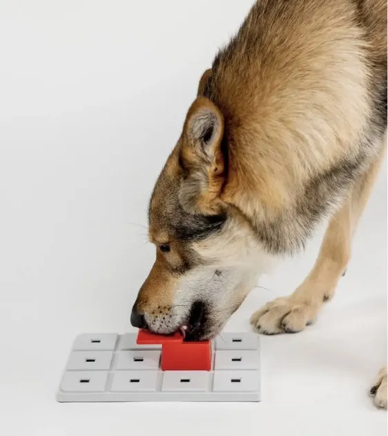 Pawzler Innovative Modular Dog Puzzles (Peach Without Base)