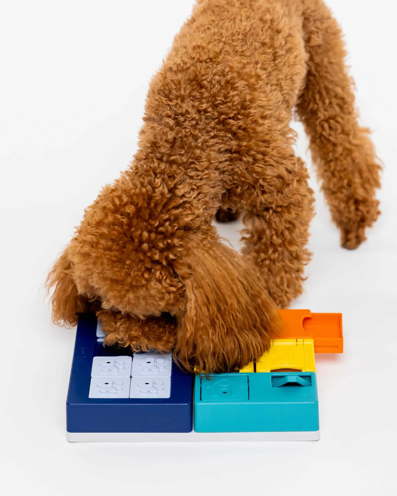 Pawzler Innovative Modular Dog Puzzles (Smarty Set With Base)