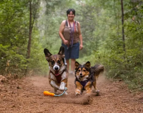 Ruffwear Gourdo Sage Green