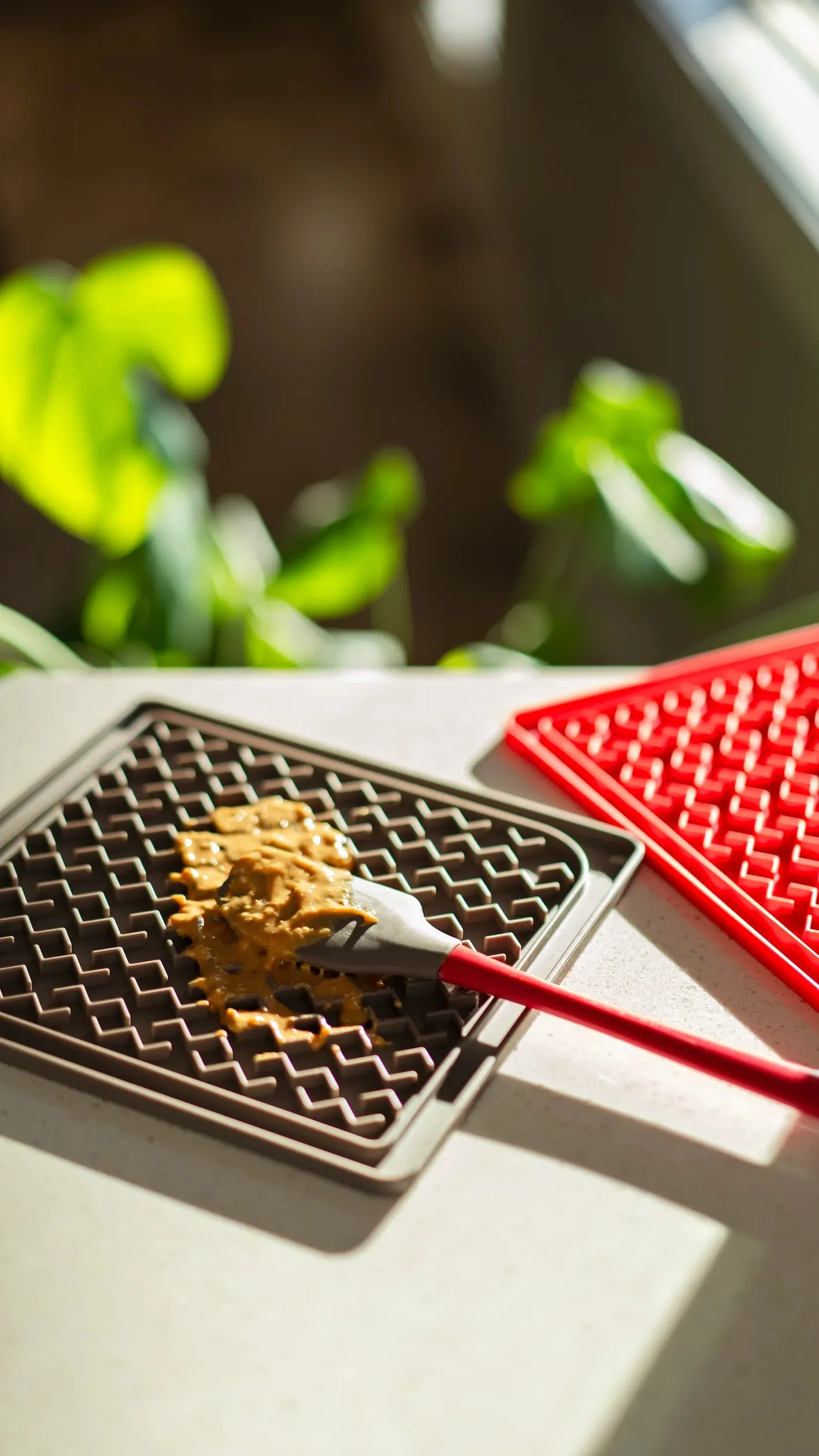 Silicone Therapeutic Dog Lick Mat with Silicone Spatula