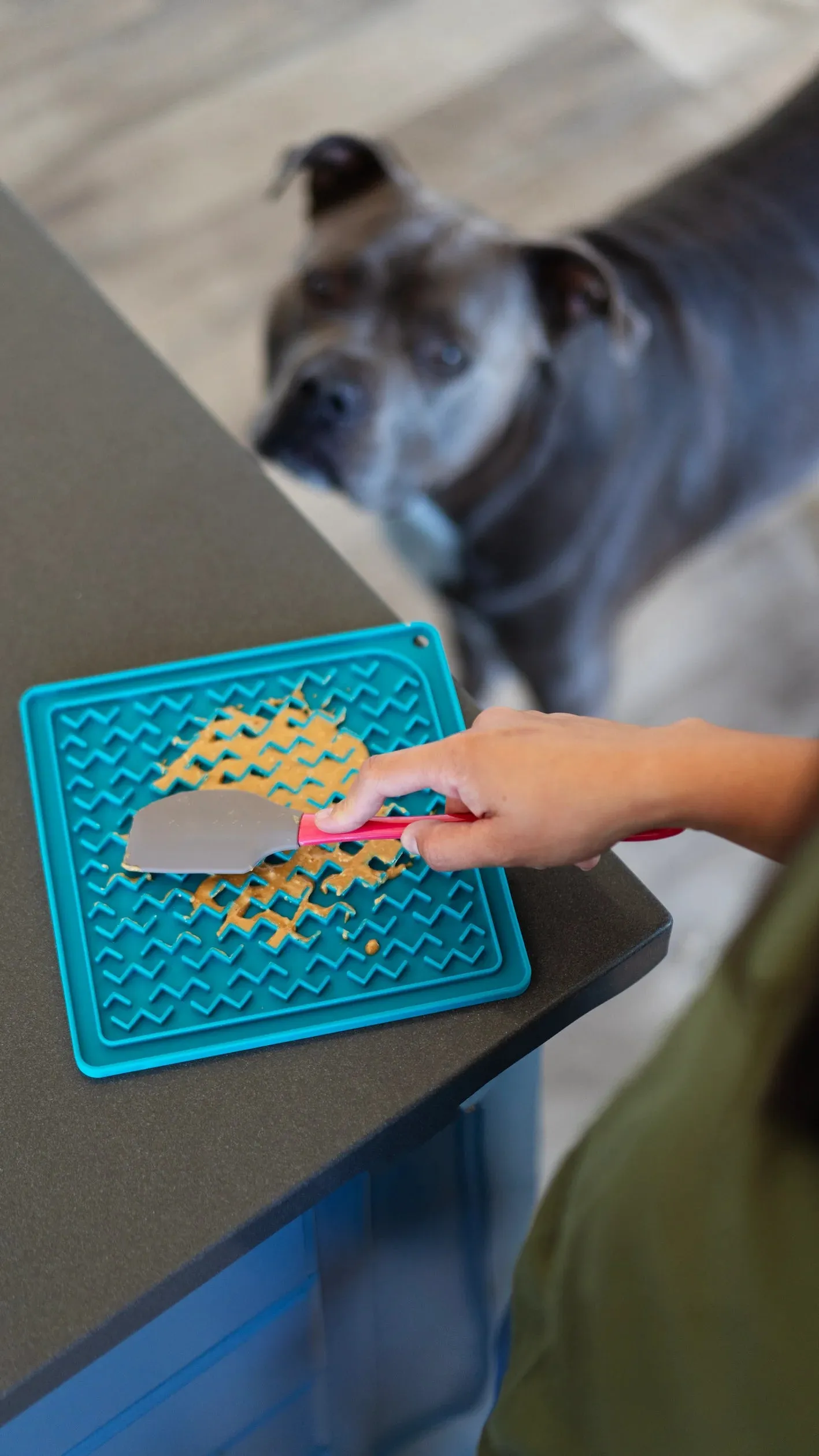 Silicone Therapeutic Dog Lick Mat with Silicone Spatula