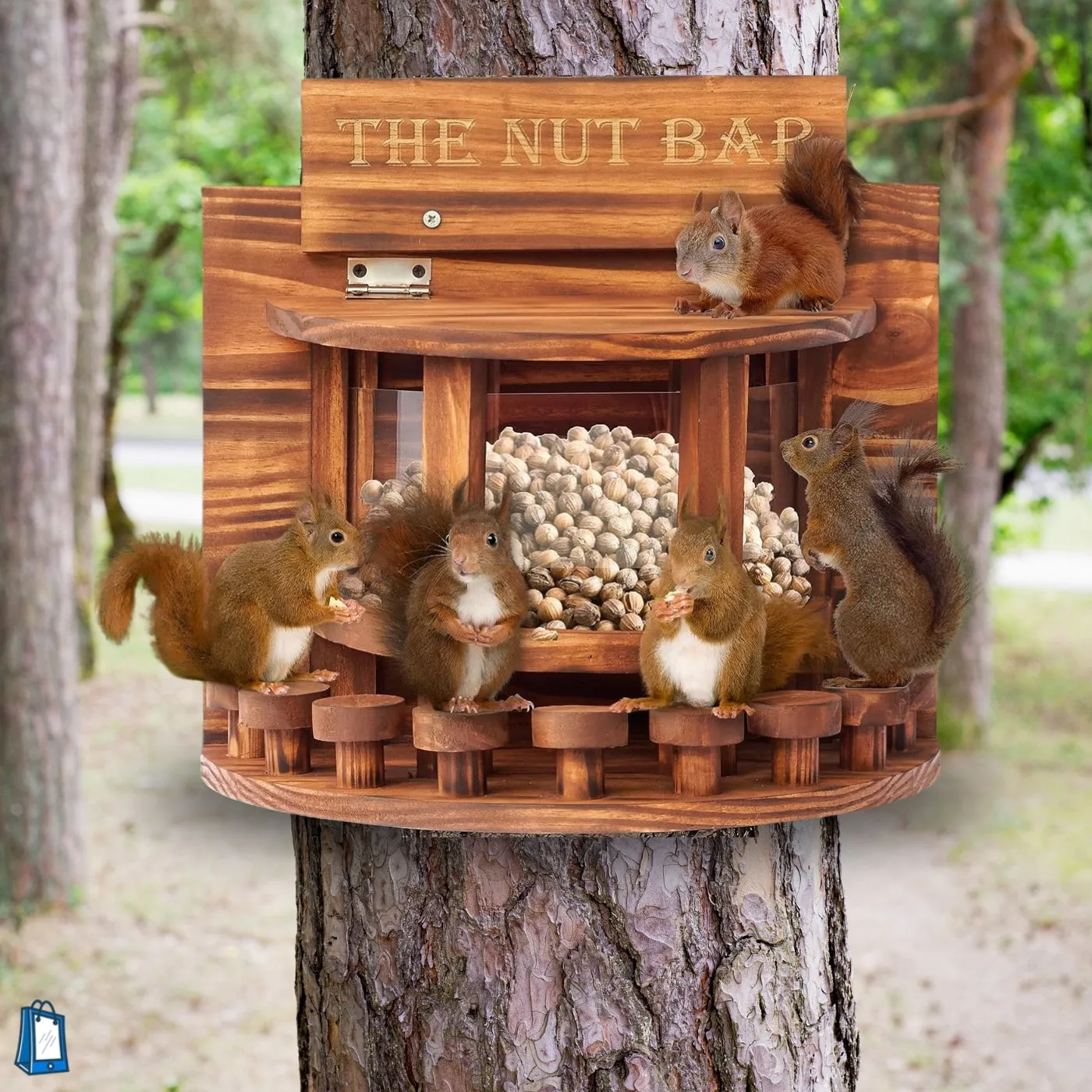 Squirrel Feeder Wooden Outdoor Nut Bar