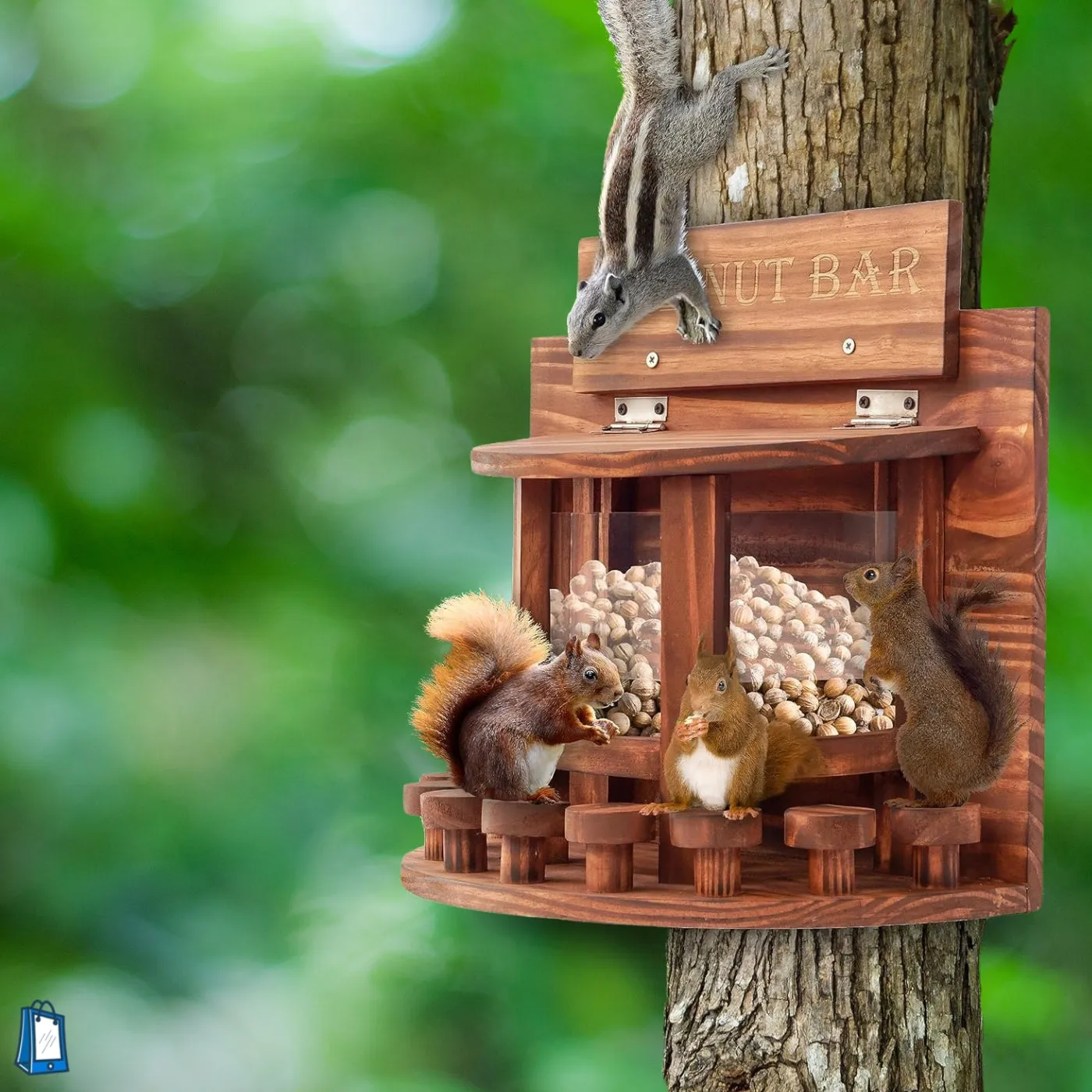 Squirrel Feeder Wooden Outdoor Nut Bar